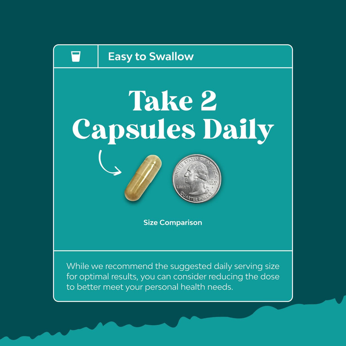 Liver Cleanse Support - Milk Thistle Supplement with Choline