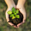 Sustainably Sourced